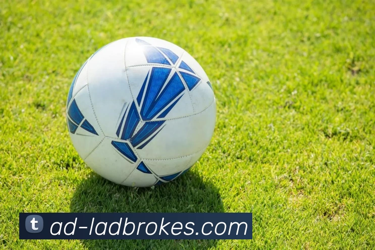 立博官网投注平台生态图